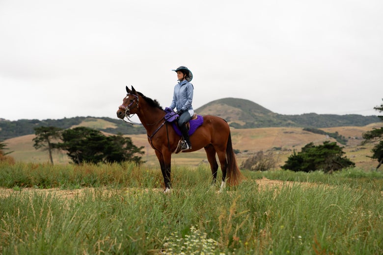 A horseback rider on a bay horse wearing a Helmet Brims  helmet visor.