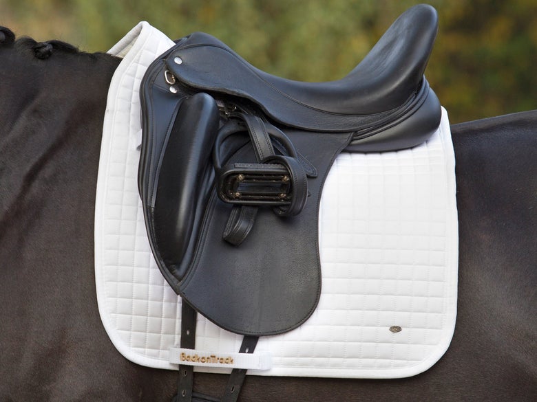 White Back on Track Therapeutic Dressage Saddle Pad No 1 on a dark bay horse
