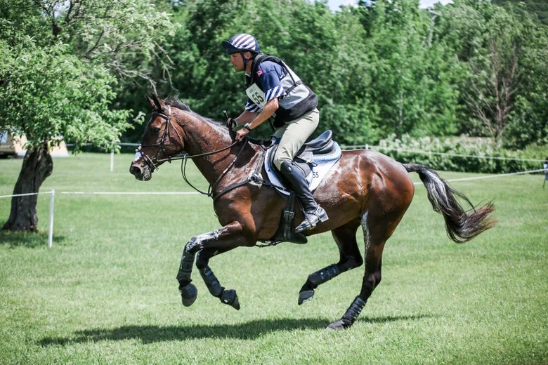 Ecogold Secure XC Saddle Pad 