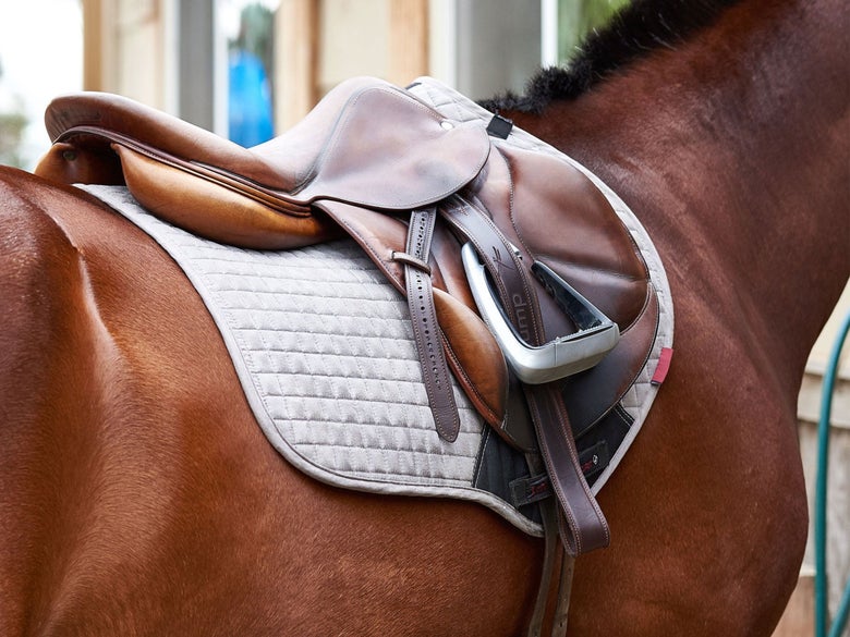 A bay horse wearing a grey LeMieux close-contact saddle pad.