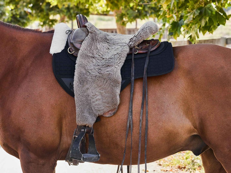 The ThinLine Endurance Drop Rigging Wool Saddle pad on a horse.