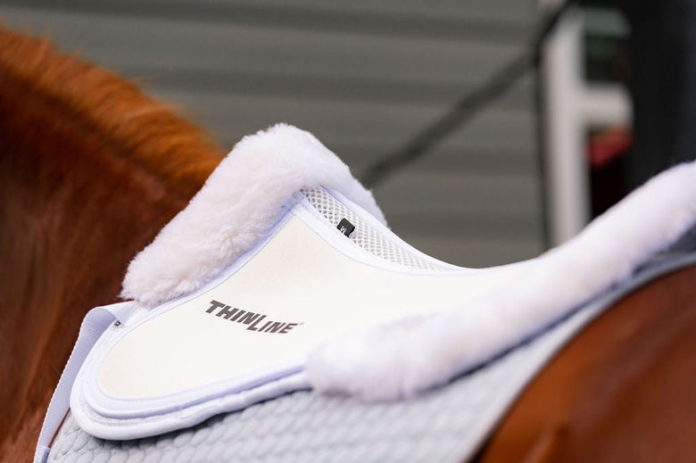 The ThinLine Sheepskin Rolled Trifecta Half Pad sitting on a chestnut horse's back. 