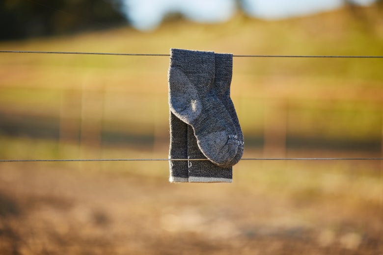 The Smartwool Everyday Knee High Socks resting on a fenceline.
