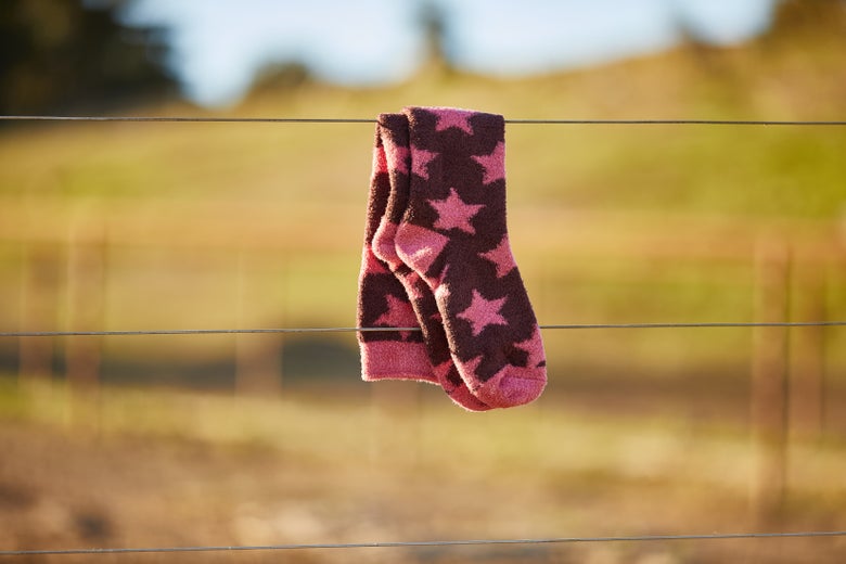 The LeMieux Sasha Star Socks resting on a fenceline.