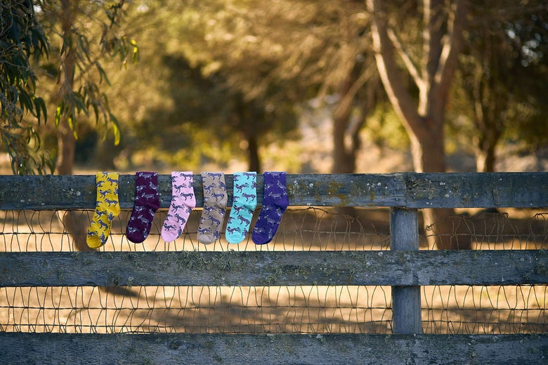 The Playful Donkeys Adult Crew Socks resting on a fenceline.