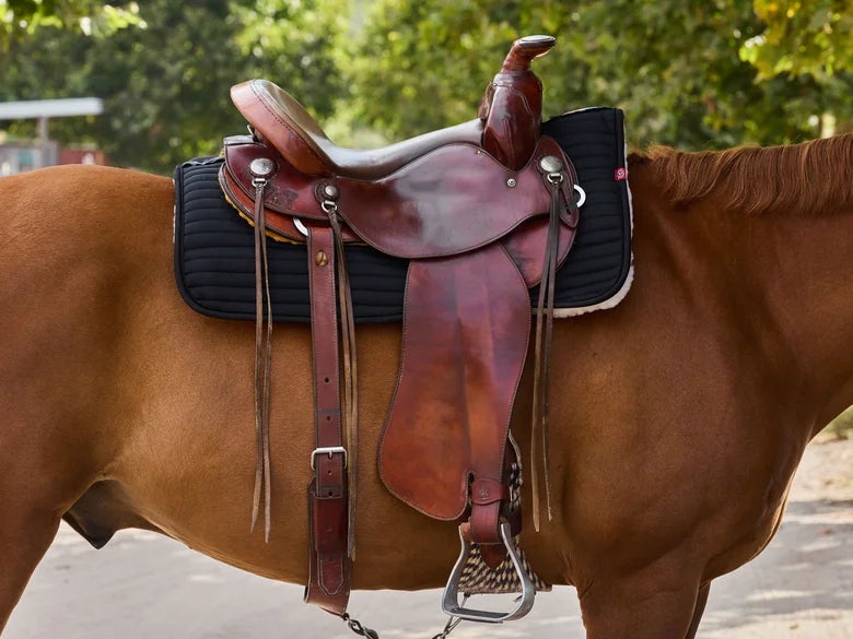Western saddle with back cinch and aluminum stirrups on a chestnut horse 