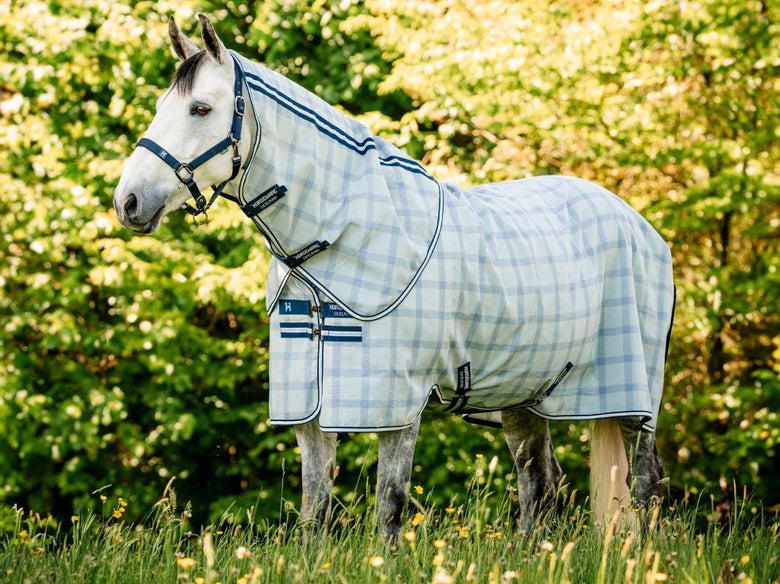 A gray horse wearing the Horseware Newmarket Plus Fly Sheet in a field. 