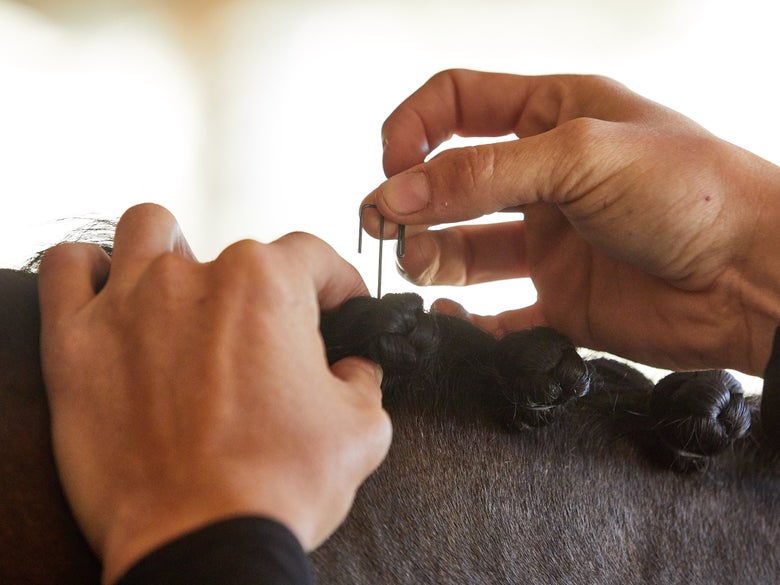 Rider putting a quick knot into a horse's mane