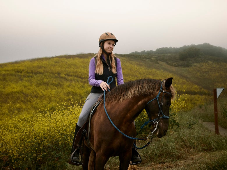 A horse on an endurance or trail ride with a field of yellow flowers in the background.