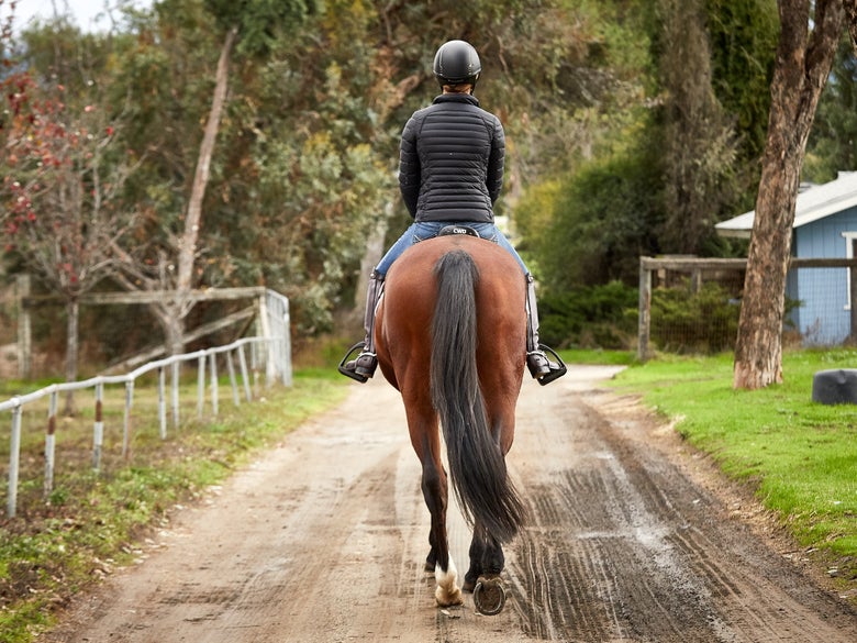 An English rider on her bay horse, walking away from the camera down a dirt road. 