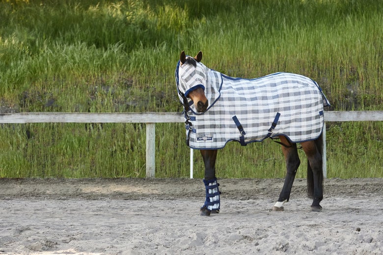 Bay horse standing in an arena wearing the Kensington SureFit Fly Sheet with neck cover, fly mask, and fly boots in the exclusive Ridington color from Riding Warehouse.