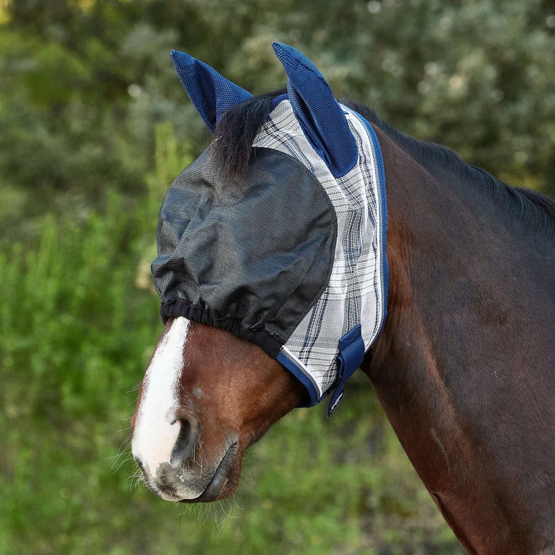 Horse wearing a blue, white, and silver Kensington Uviator fly mask.