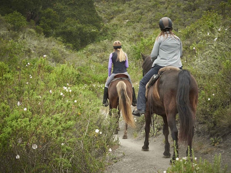 A view from behind two women riding their horses down a trail.