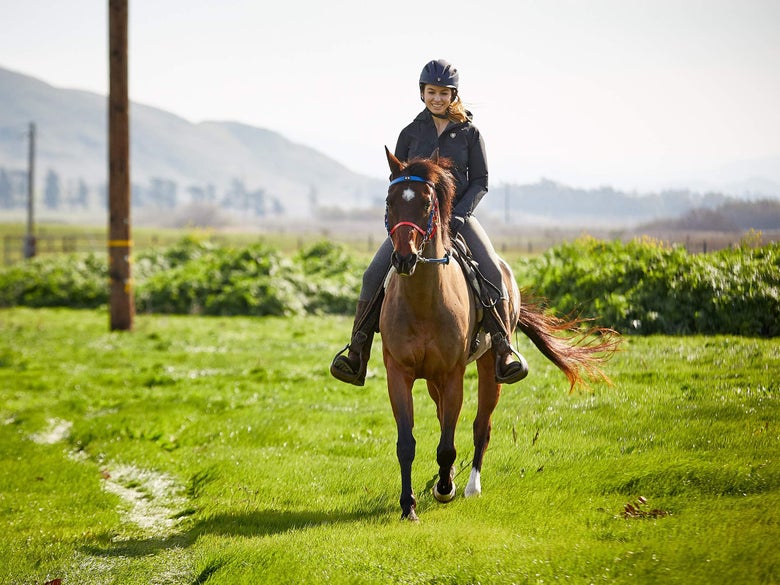 An endurance horseback rider riding a bay horse through a field.