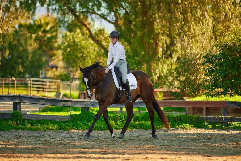 A dressage rider on a bay horse giving it a pat after their ride. 