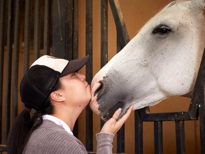 A woman and a white horse cuddling through a stall door.