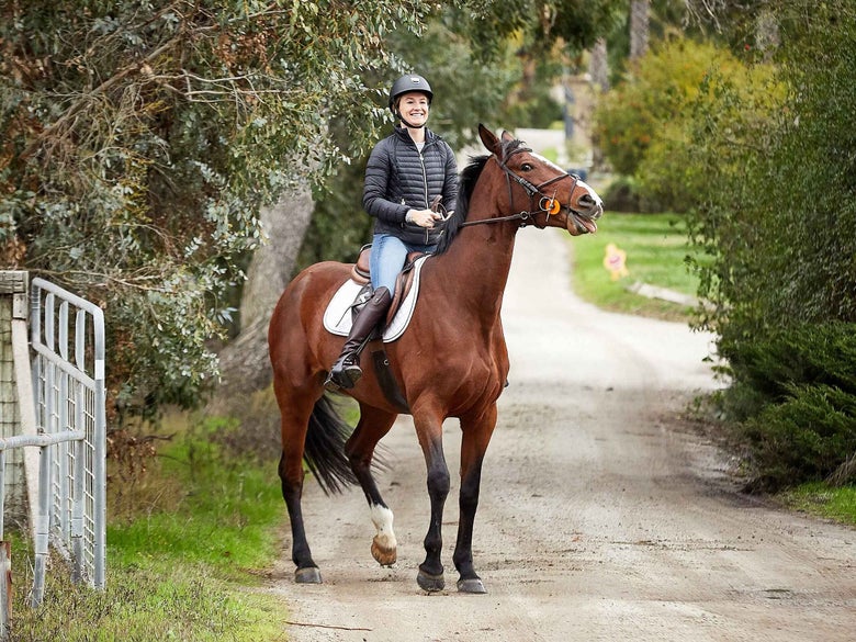 A picture of a nervous bay horse being ridden by a smiling rider. 