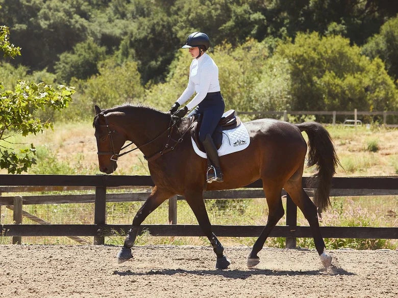 Woman schooling her horse with flatwork in a dirt arena with wooden fencing and trees in the background.