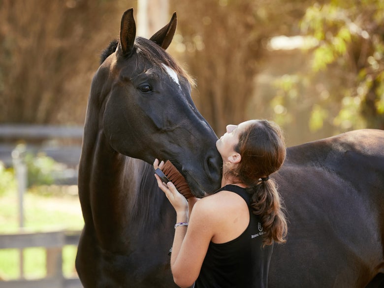 A woman brushing her dark bay horse. 