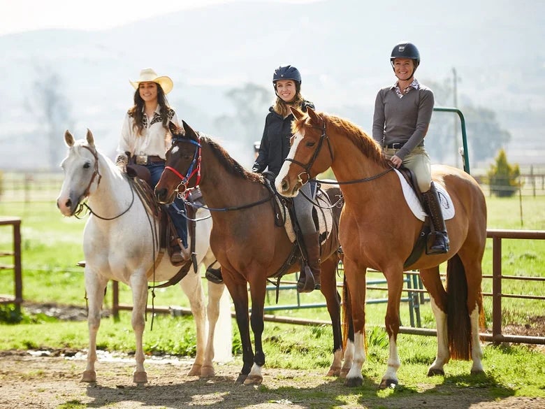 Three girls on different horses standing side by side in Western, English, and Endurance tack.