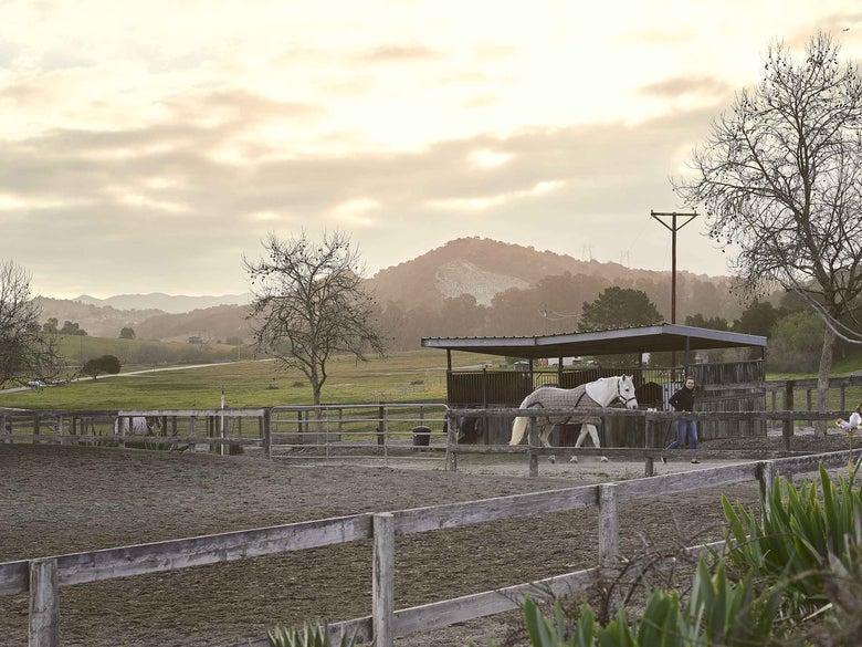 A woman walking a horse wearing a sheet up a road past horse shelters.