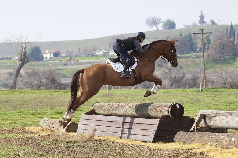 Bec Braitling riding a chestnut horse jumping the first fence on a cross country course.