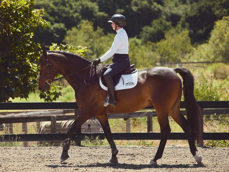 A horseback rider riding with a paint stick in her hands to keep them steady.