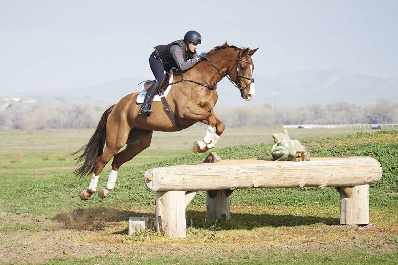Bec Braitling riding a chestnut horse jumping a corner on a cross country course.