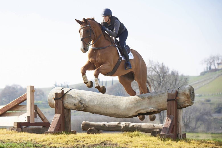 Bec Braitling riding a chestnut horse jumping a hanging log on a cross country course.