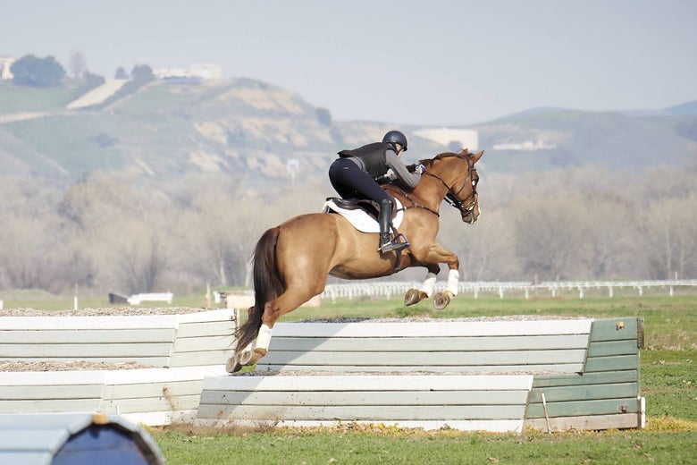 Bec Braitling riding a chestnut horse jumping a table on a cross country course.