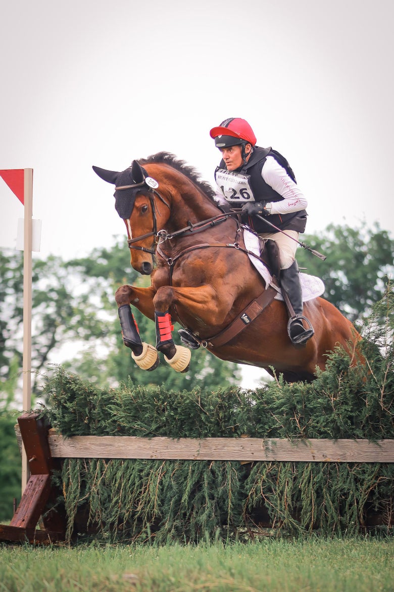 Stephen Bradley competing a bay horse on a cross country course.
