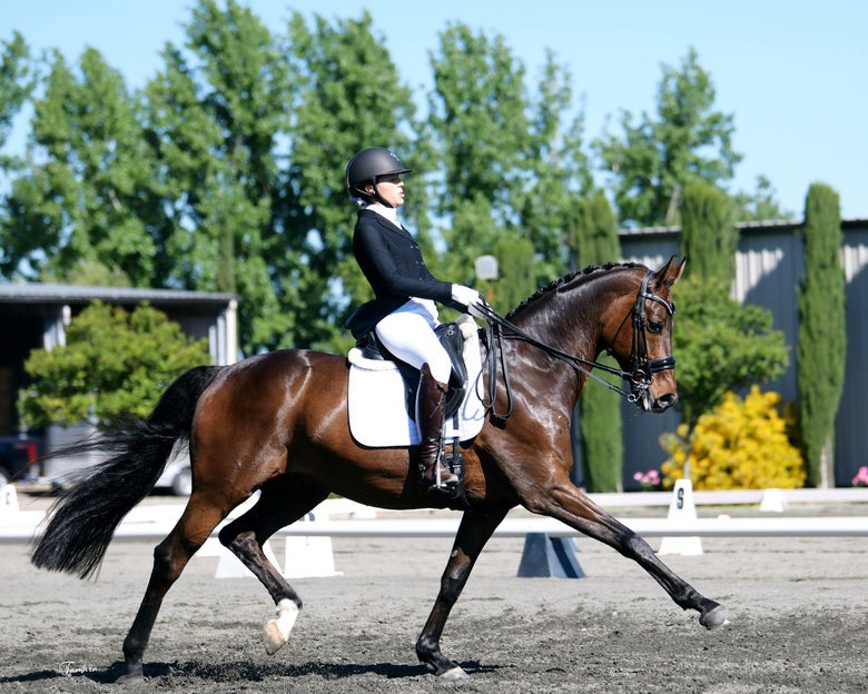 Alex Greer competing in Dressage.