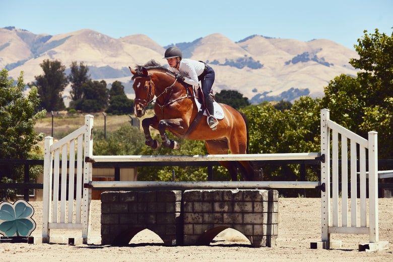 Amanda Garcia schooling a bay horse over a jump.
