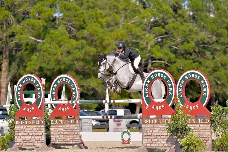 Liz jumping a grey horse in an Aiken Horse Park hunter jumper show at Bruce's Field. 