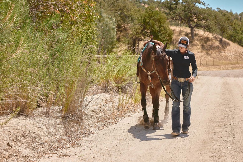 Krista Williams hand walking a bay horse down a dirt road.