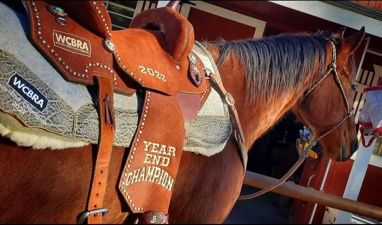 A close up of Krista William's Year End Champion prize barrel racing saddle from the WCBRA in 2022.