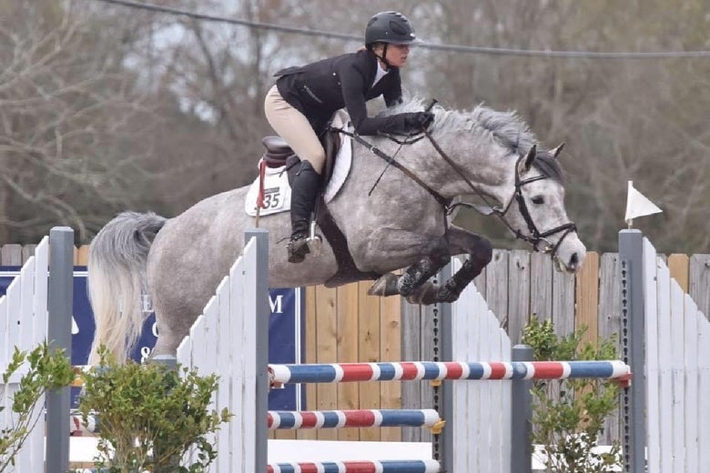 Liz Siadous competing her dapple grey Zangersheide stallion on a show jumping course.