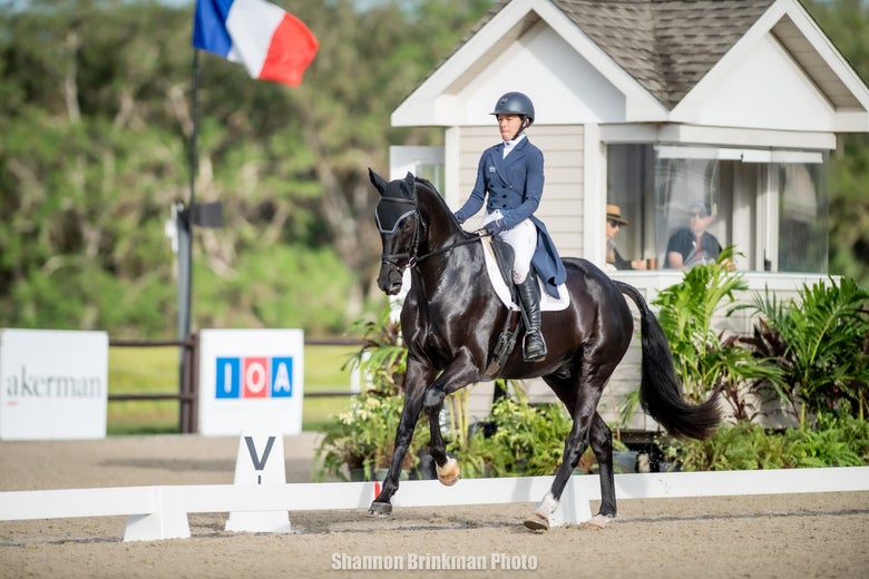 Mia Farley riding a Dressage Test