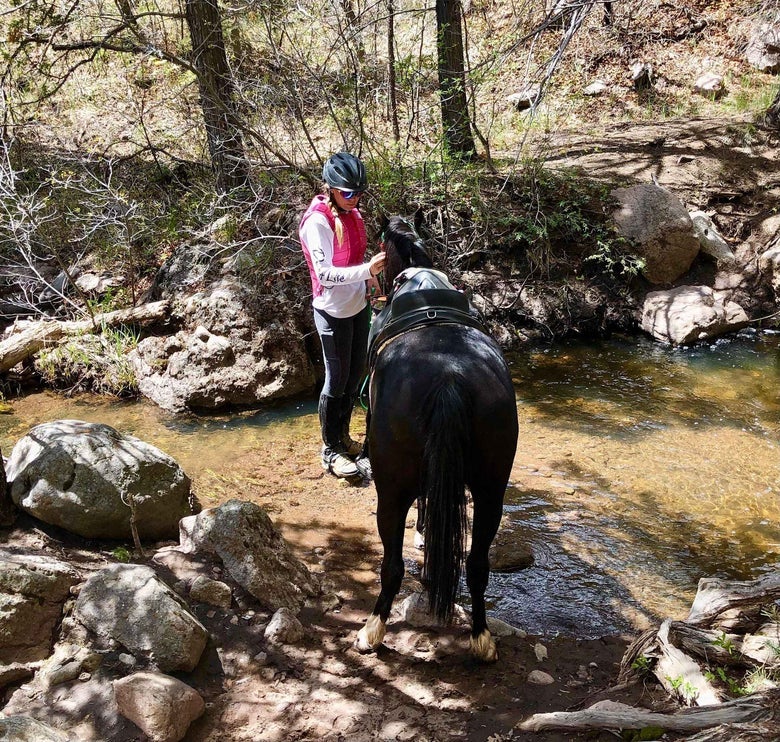 Natalie on foot standing next to her saddled black horse in a creek. 