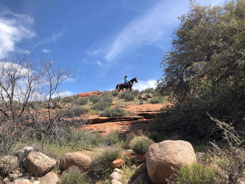 Natalie riding in the distance, traversing rocky terrain. 