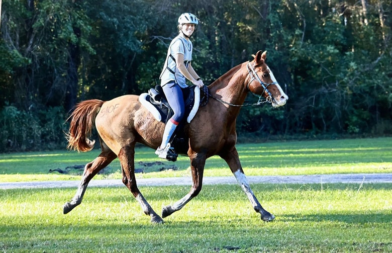 A side view of Heather riding her chestnut horse at a trot in an endurance ride