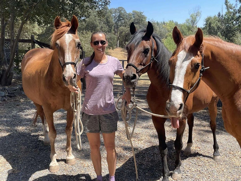 Heather on foot in a purple short sleeve and grey shorts, holding the lead ropes of three of her endurance horses