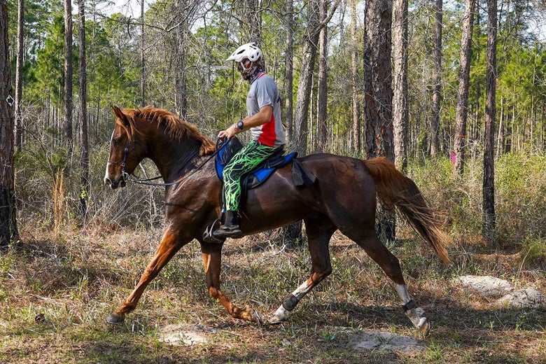 A side view of Jeremy riding his chestnut horse at a trot in an endurance ride