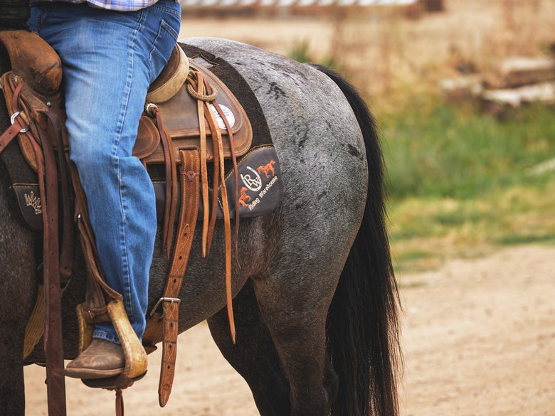 Roan horse saddled wearing a Best Ever Riding Warehouse western saddle pad. 
