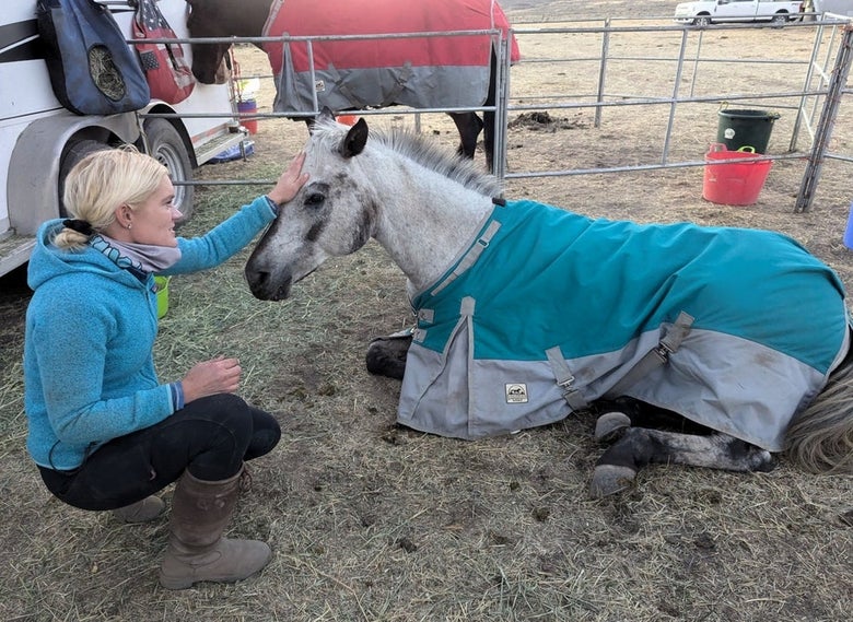 Stevie Delahunt petting a resting horse at a campsite.