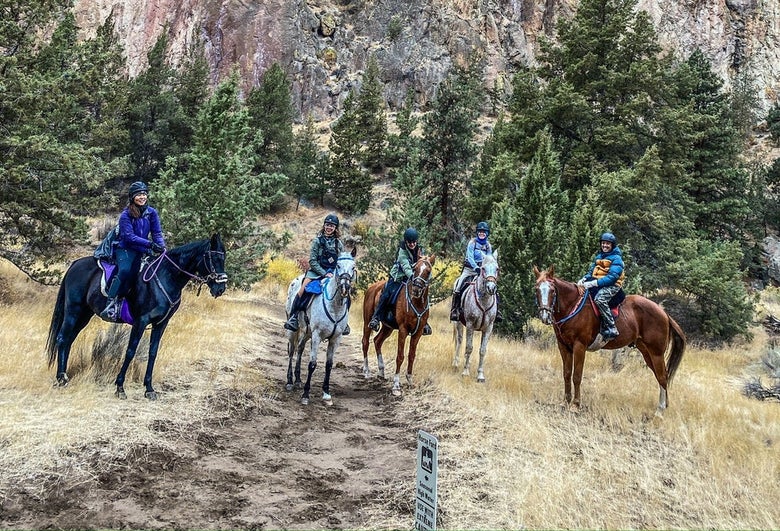A group of trail riders on horseback, stopped on the trail and standing side by side of each other. 