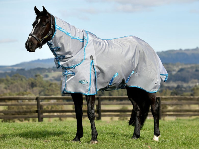A dark bay horse standing in a pasture wearing the WeatherBeeta Hexi Shield Fly Sheet