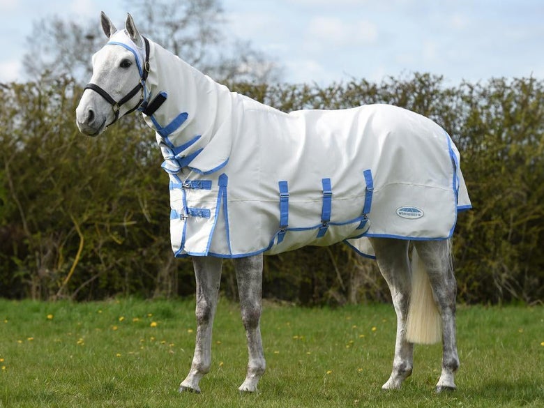 A gray horse standing in a field wearing the WeatherBeeta Sweet Itch Fly Sheet.