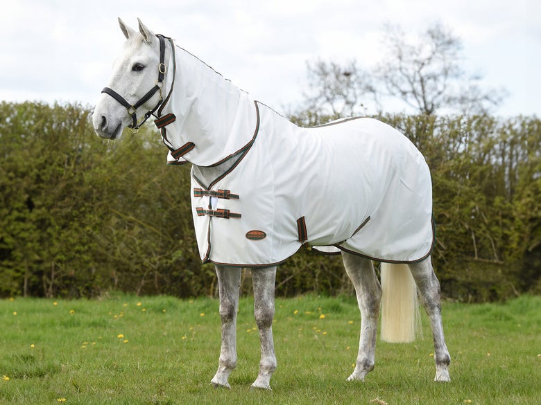 A gray horse standing in a field wearing the WeatherBeeta Tyro Mesh Fly Sheet