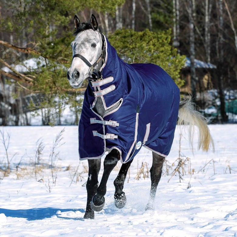 WeatherBeeta Hugology Winter Horse Blankets
